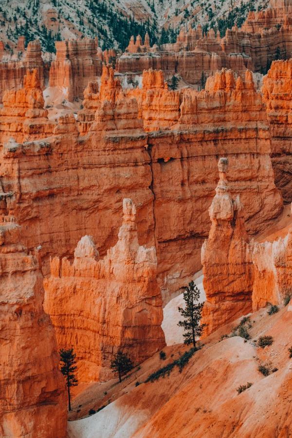 Wander Camp Bryce Canyon - Escalante Cannonville Eksteriør billede